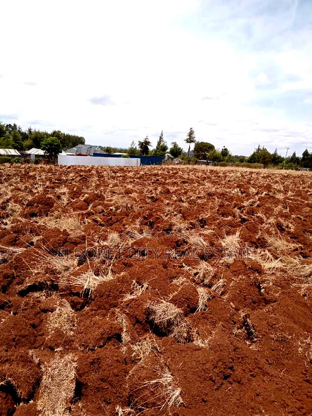 1/2 Acre Kamariny Iten With Title