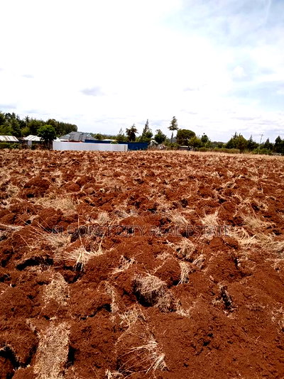 1/2 Acre Kamariny Iten With Title - Image 2