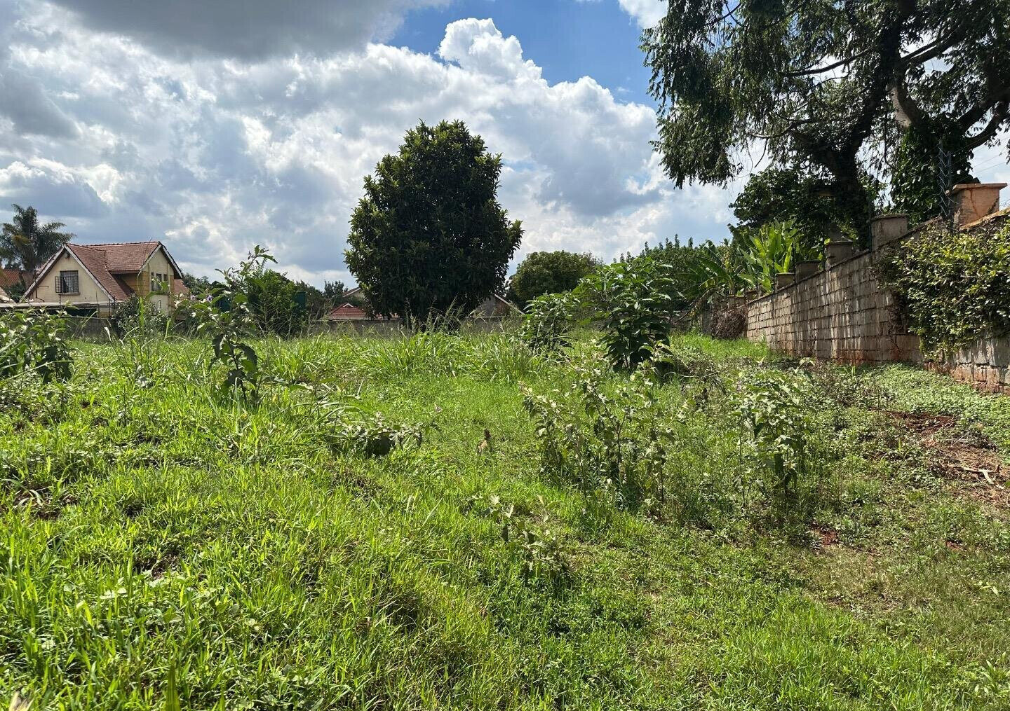 1/2 Acre Runda Plot at KSh 65M