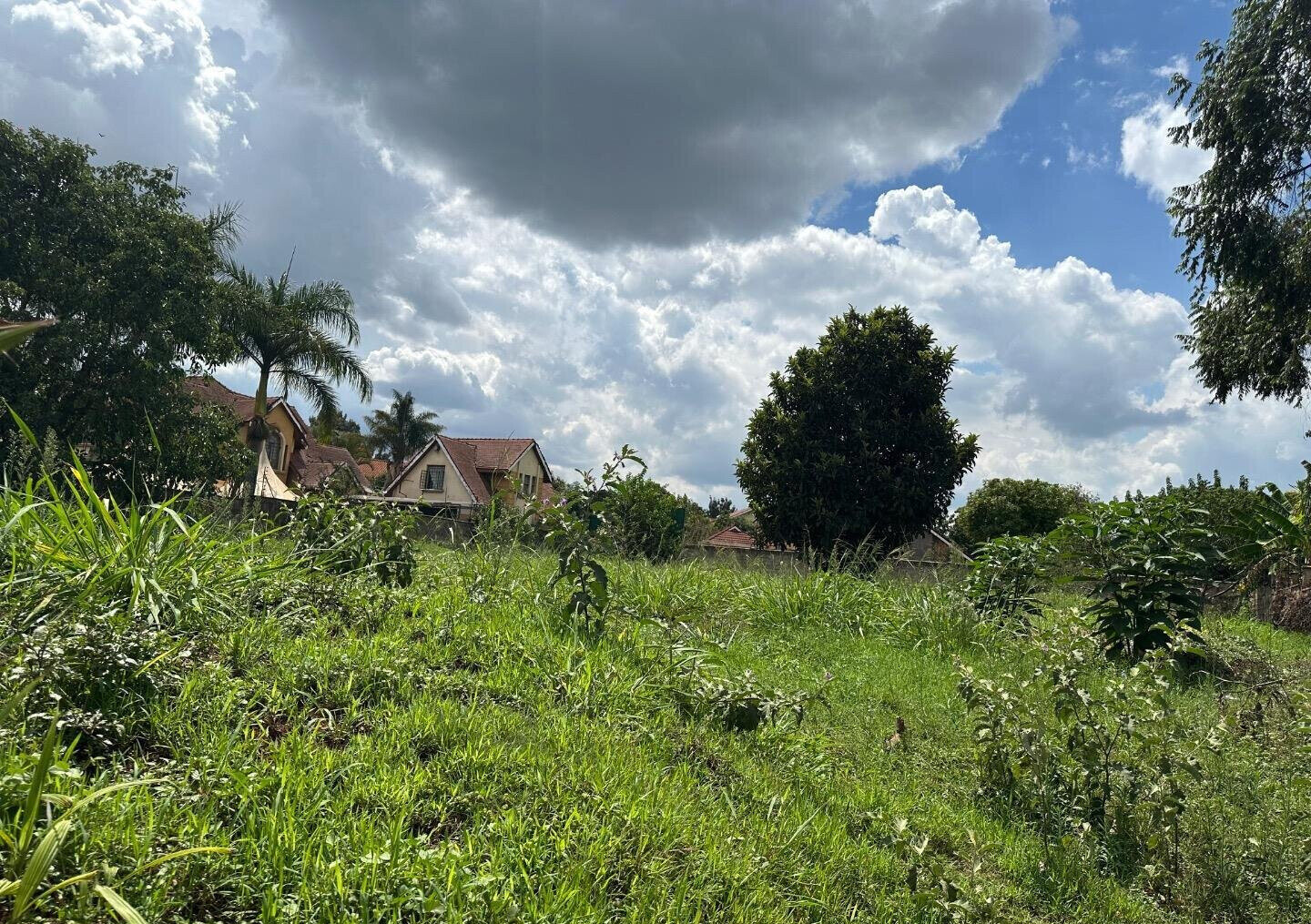1/2 Acre Runda Plot at KSh 65M