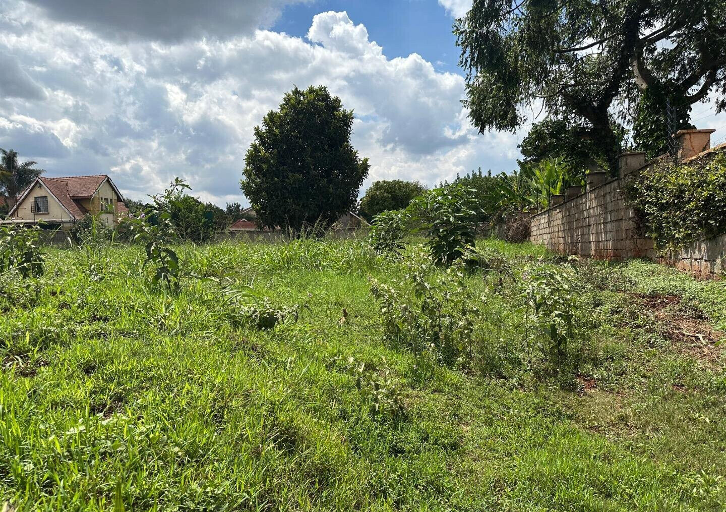 1/2 Acre Runda Plot at KSh 65M