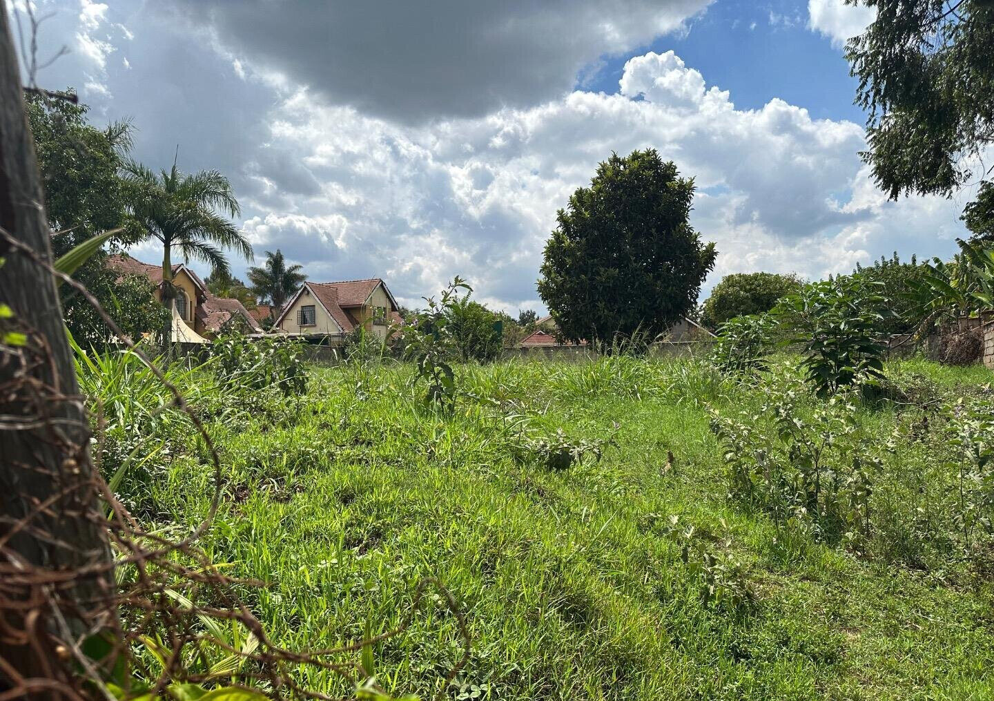1/2 Acre Runda Plot at KSh 65M