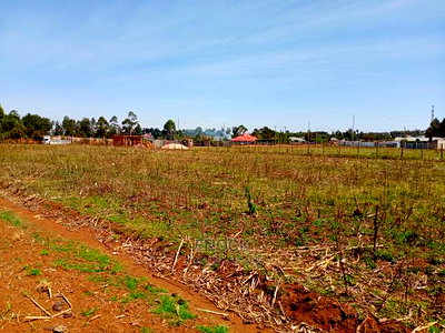 1/4 and 1/8 Acre Plots for Sale in Royaltone, Eldoret - Image 2
