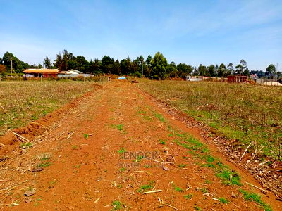 1/4 and 1/8 Acre Plots for Sale in Royaltone, Eldoret - Image 1