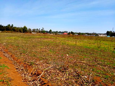 1/4 and 1/8 Acre Plots for Sale in Royaltone, Eldoret - Image 3