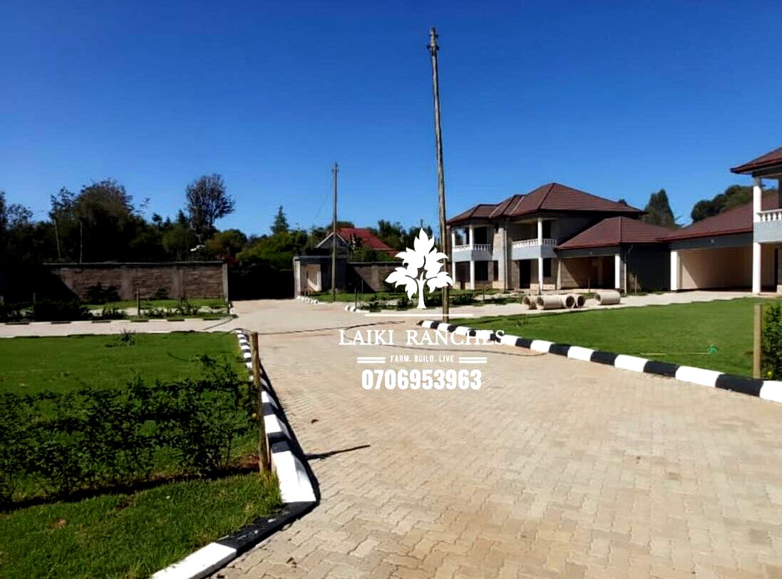 Executive 4-Bed Villa with DSQ & Mount Kenya Views - Nanyuki