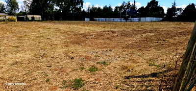 Prime 1/4 Plots for Sale in Illula Before Primary in Eldoret - Image 5