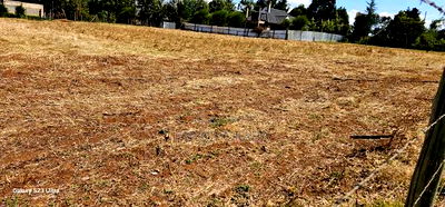 Prime 1/4 Plots for Sale in Illula Before Primary in Eldoret - Image 4