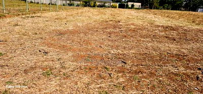 Prime 1/4 Plots for Sale in Illula Before Primary in Eldoret - Image 2