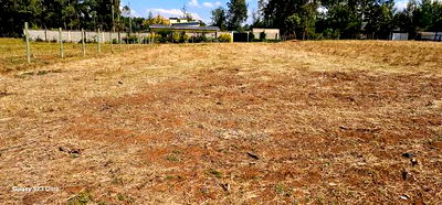 Prime 1/4 Plots for Sale in Illula Before Primary in Eldoret - Image 1