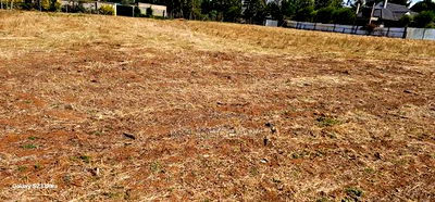 Prime 1/4 Plots for Sale in Illula Before Primary in Eldoret - Image 3