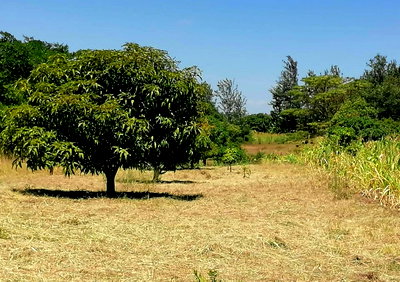 KSh 1.1M Garden Plot with Parking - Thika