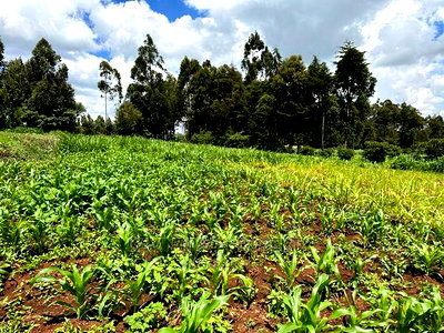 Commercial Plot Along Waiyaki Way in Rironi, Chunga Mali. - Image 6
