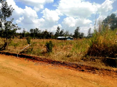 50x100 Prime Plot for Sale in Nachu - Image 4