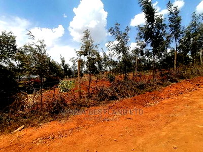 50x100 Prime Plot for Sale in Nachu - Image 7