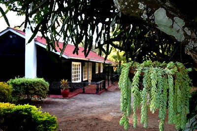 3bdrm Bungalow in Karen for rent - Image 5