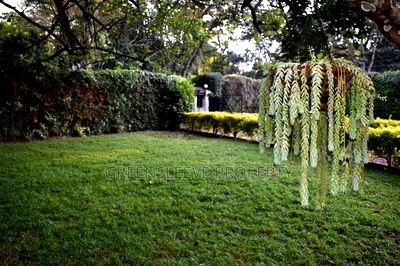 3bdrm Bungalow in Karen for rent - Image 1