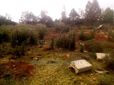 1 Acre for Sale - Image 7