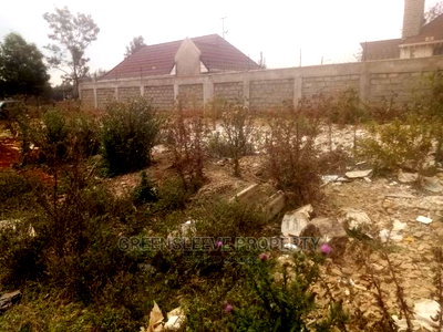 1 Acre for Sale - Image 6