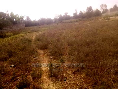 1 Acre for Sale - Image 2