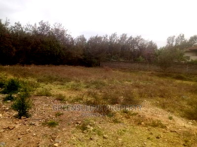 1 Acre for Sale - Image 5