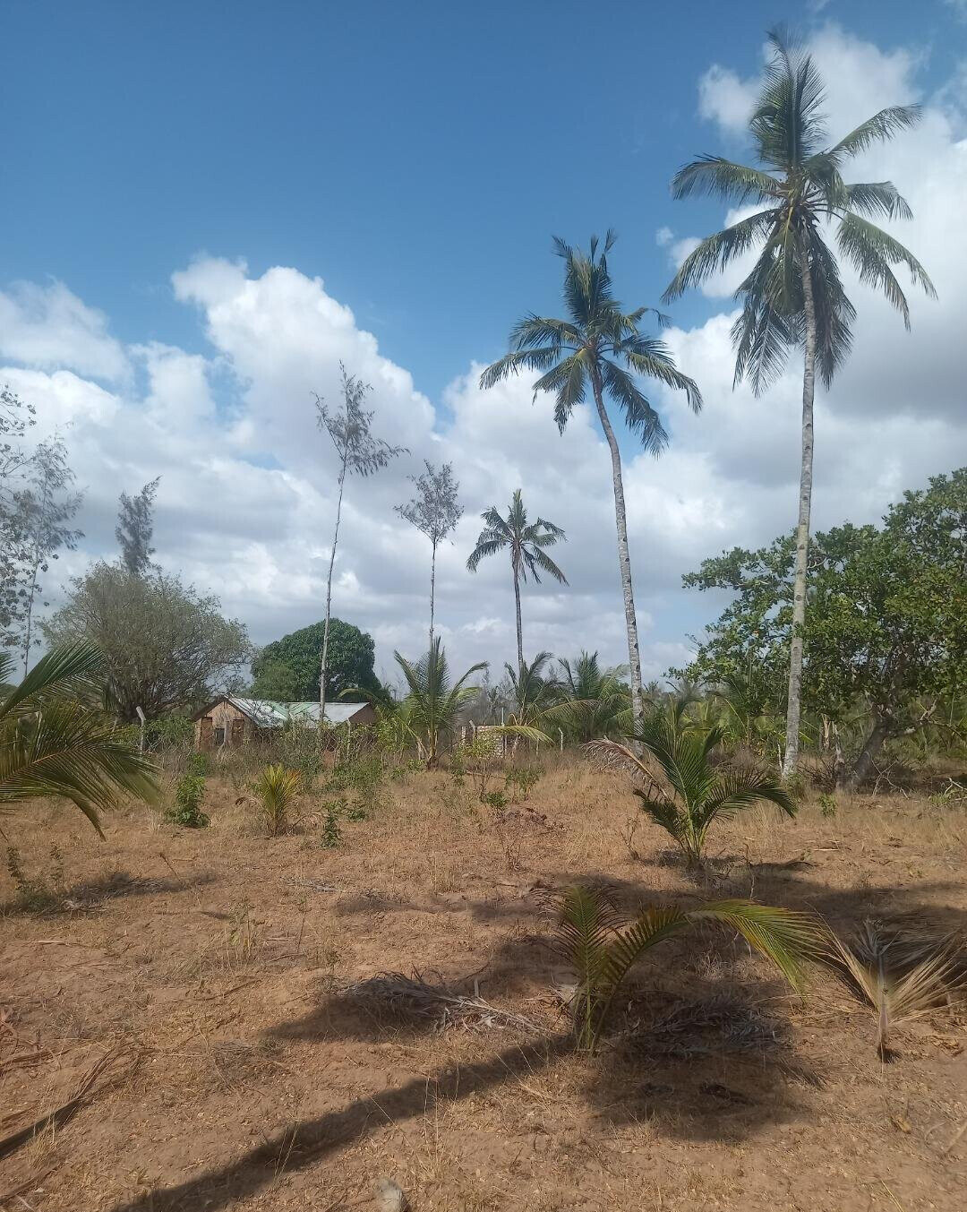 2-Acre Plot at KSh 8M