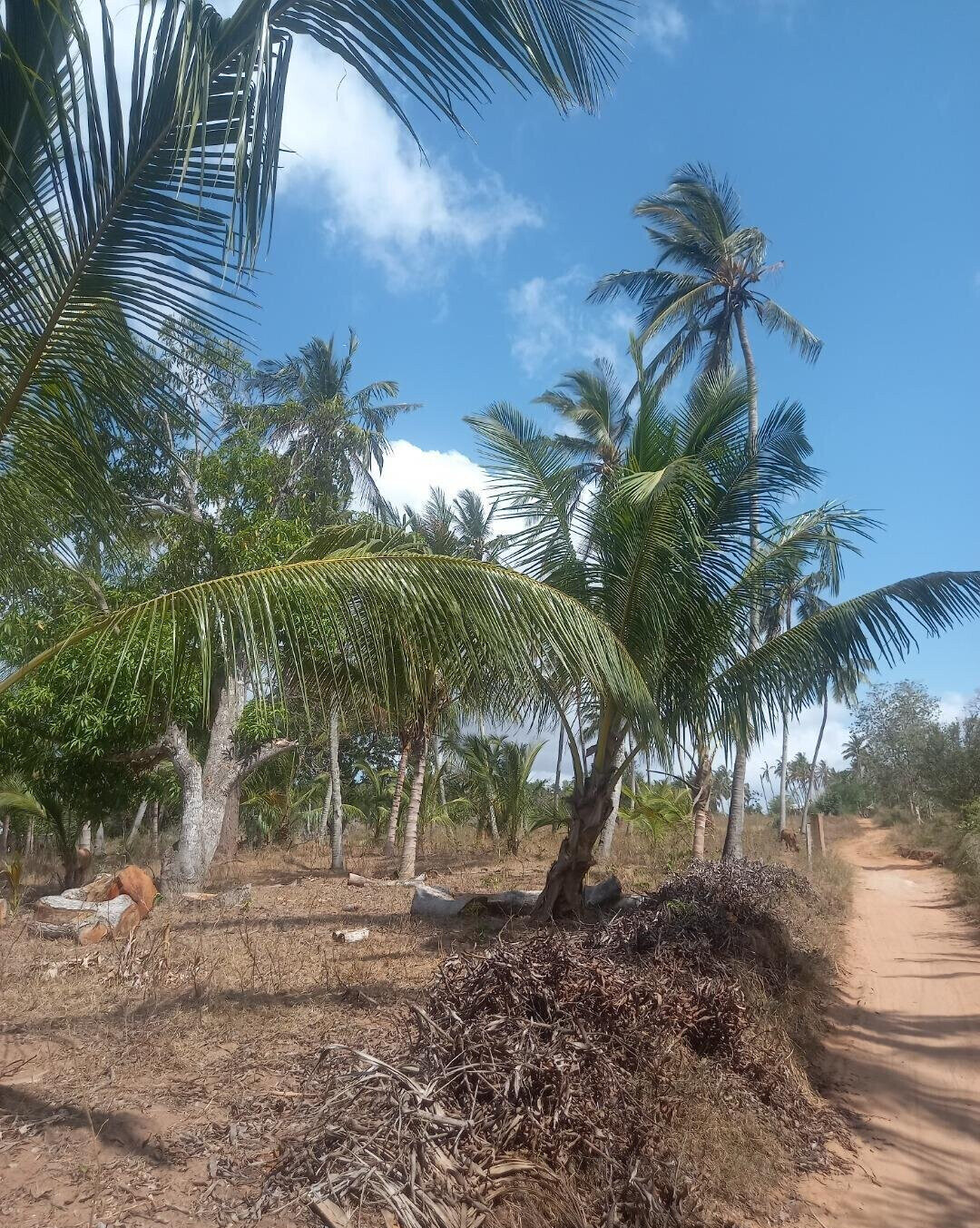 2-Acre Plot at KSh 8M