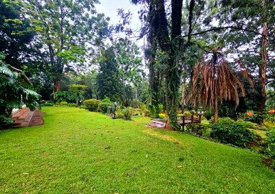 4BR Garden Cottage for KSh 450K