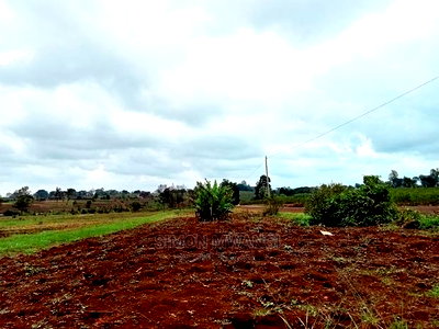 Residential Plot in Twiga Estate/Kiambu County - Image 2