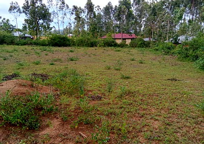Half Acre Plot with Garden in Migori