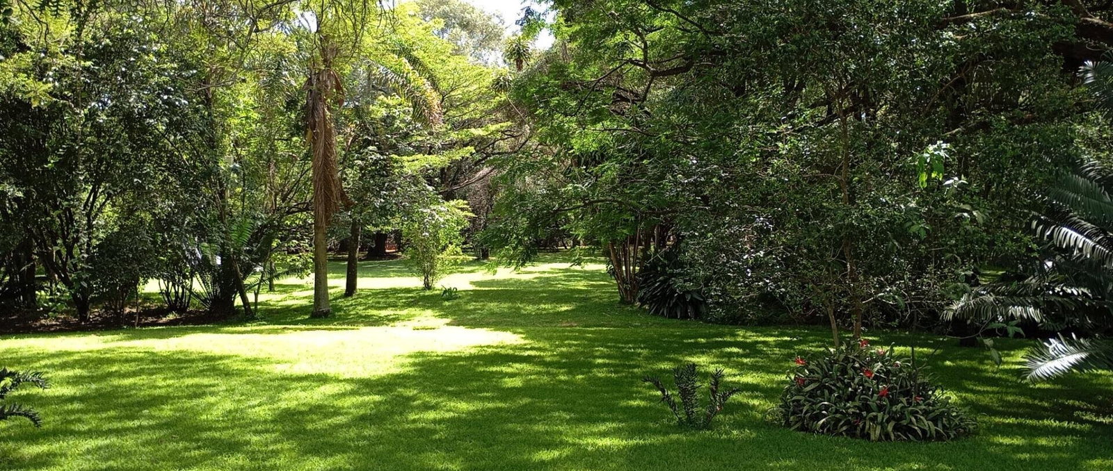4.4-Acre Karen Gem at KSh 520M