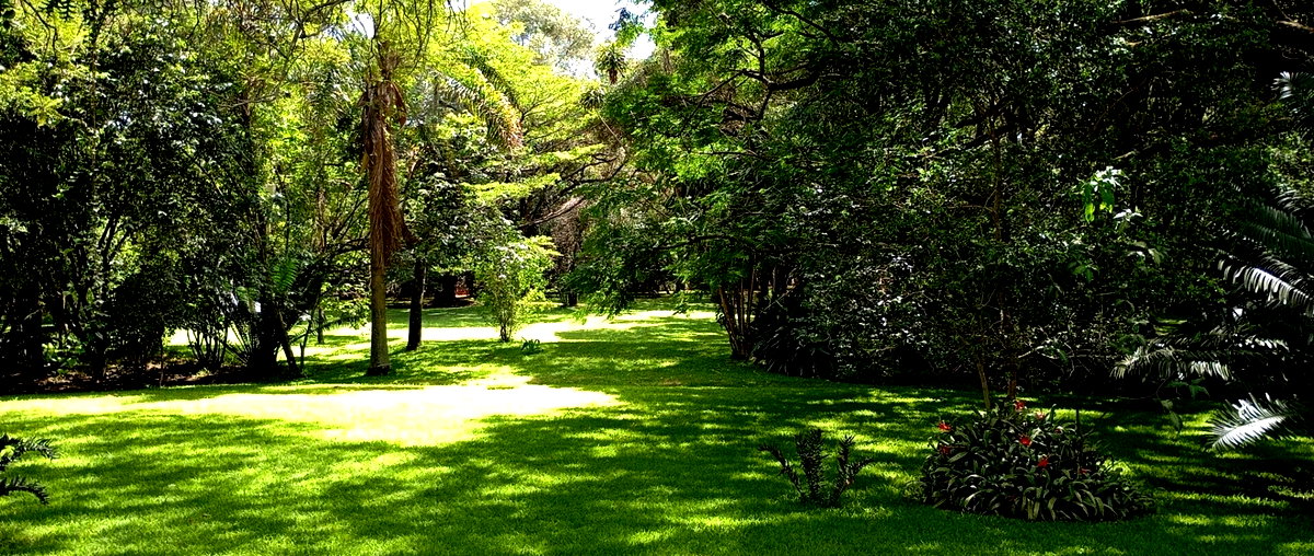 4.4-Acre Karen Gem at KSh 520M
