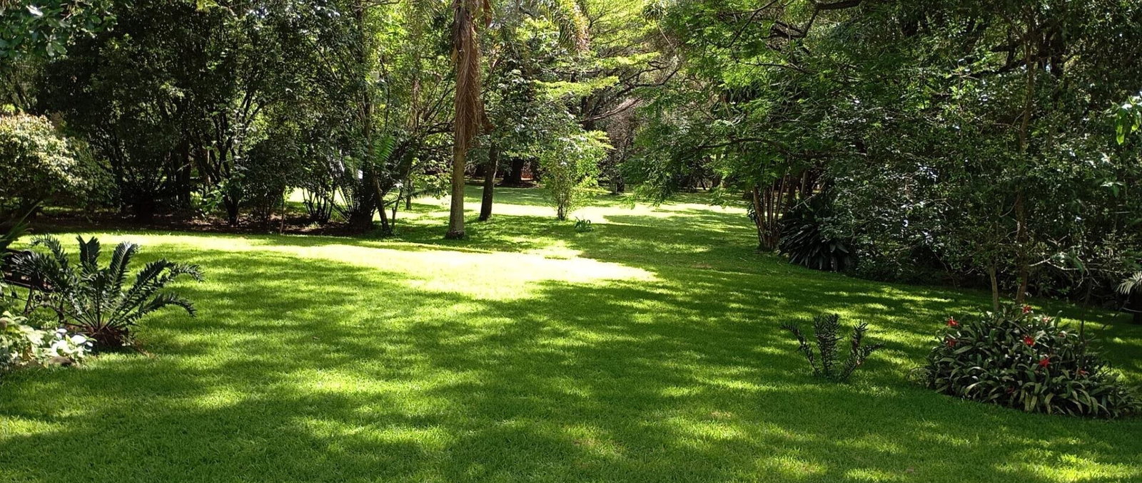 4.4-Acre Karen Gem at KSh 520M