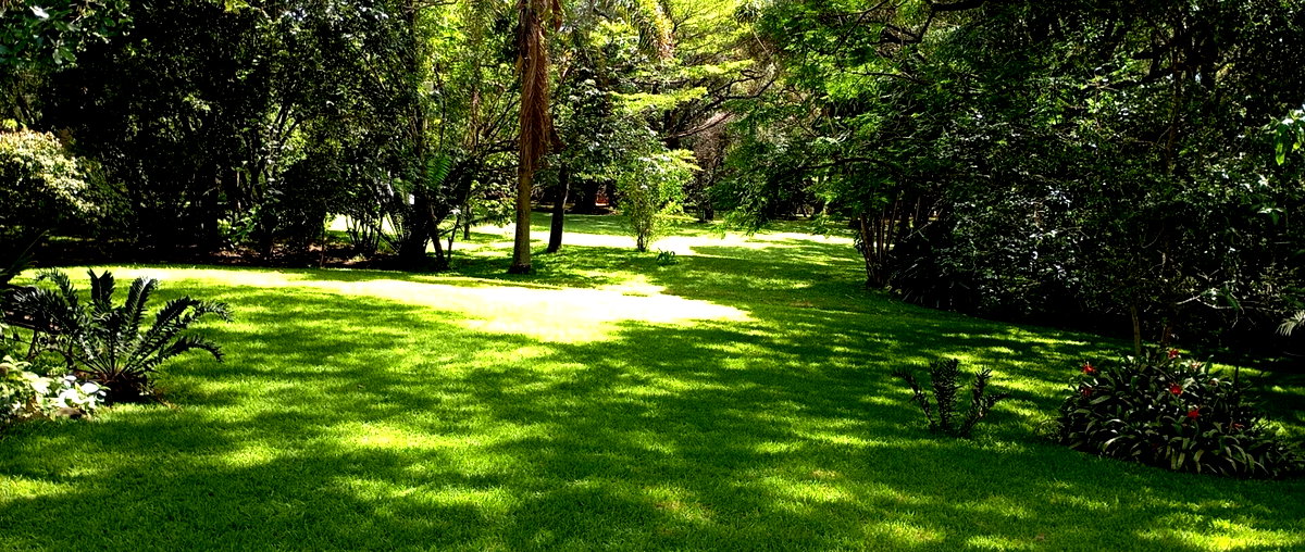 4.4-Acre Karen Gem at KSh 520M