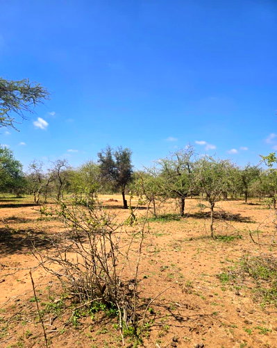47-Acre Garden Land with Parking - Loitoktok