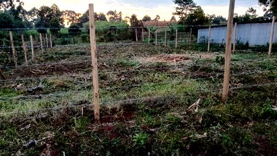 Prime Affordable Land Investments in Kikuyu - Image 5