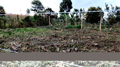 Prime Affordable Land Investments in Kikuyu - Image 2
