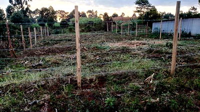 Prime Affordable Land Investments in Kikuyu - Image 6