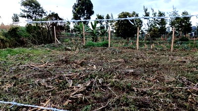 Prime Affordable Land Investments in Kikuyu - Image 1