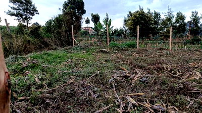 Prime Affordable Land Investments in Kikuyu - Image 3