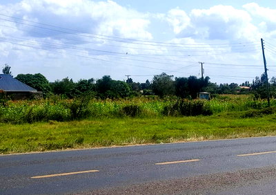 Quarter Acre Plot with Garden
