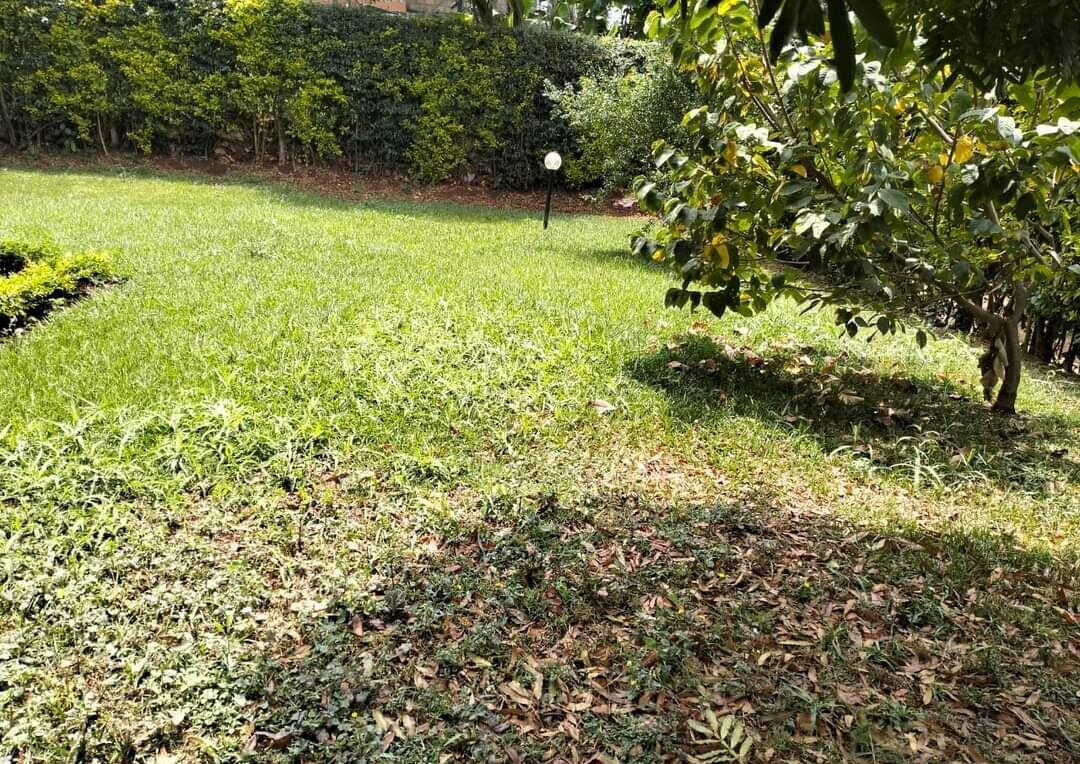 0.66 Acre Garden Home for KSh 270K