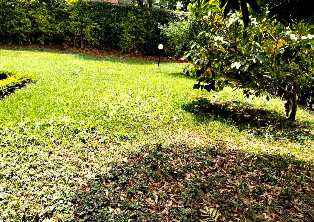 0.66 Acre Garden Home for KSh 270K