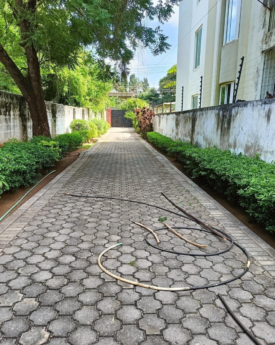 50x100 Garden Home for Rent