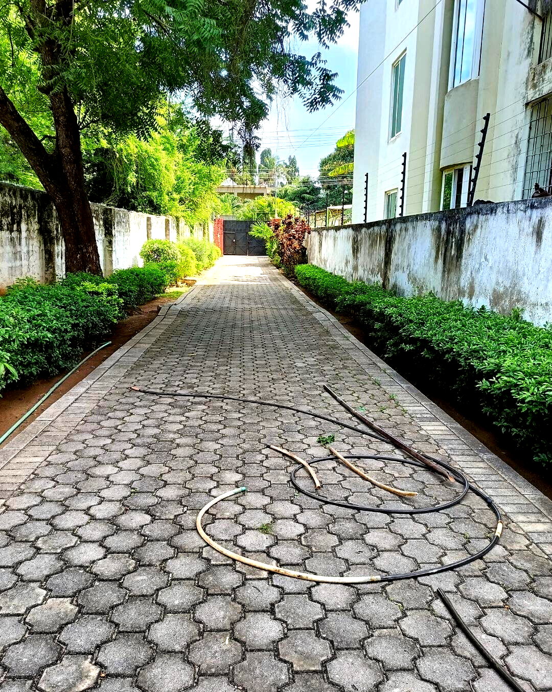 50x100 Garden Home for Rent