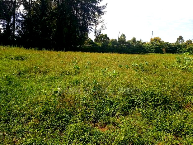 1/4 Plot Kaplelach 150metres From Tarmac