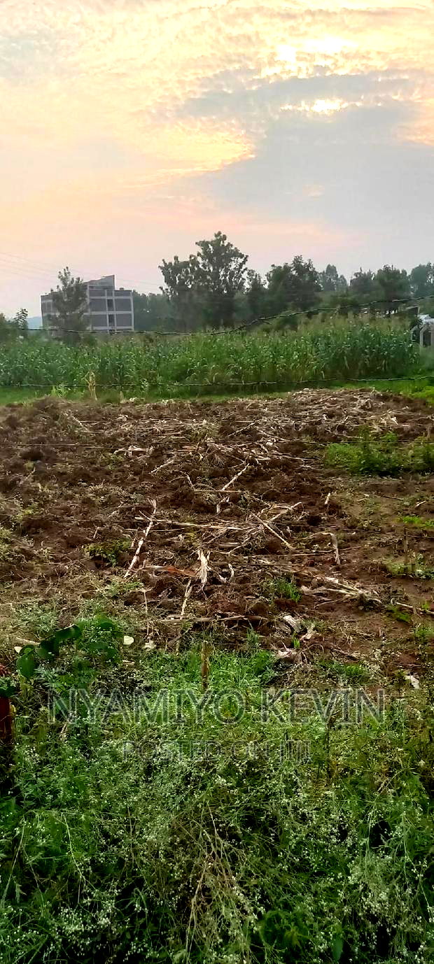 Bondo University Plot for Sale.