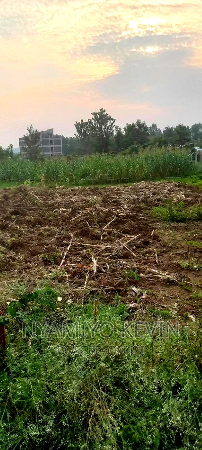 Bondo University Plot for Sale. - Image 3