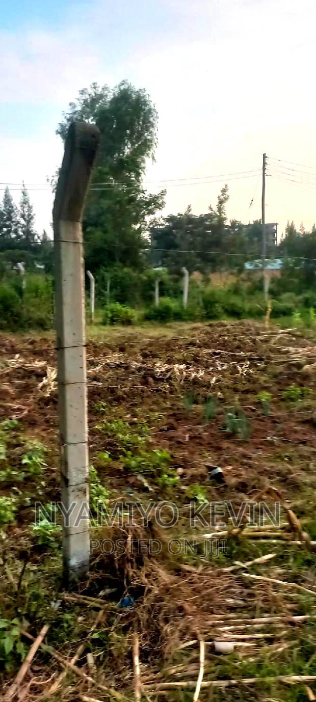 Bondo University Plot for Sale.