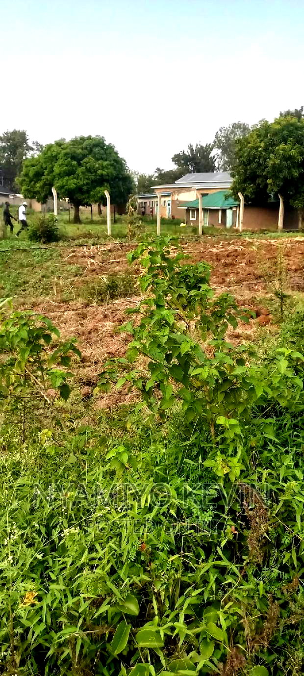 Bondo University Plot for Sale.